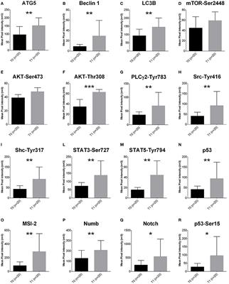 Proteomic Analysis Reveals Autophagy as Pro-Survival Pathway Elicited by Long-Term Exposure with 5-Azacitidine in High-Risk Myelodysplasia